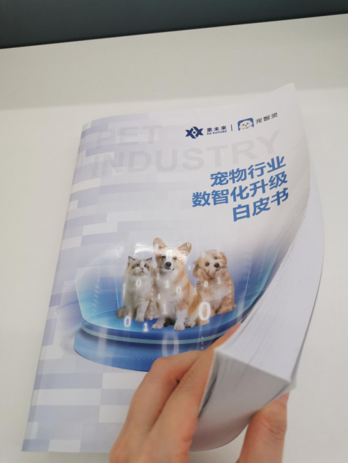 AI+宠物产业的系统框架：从研究成果到实践指引