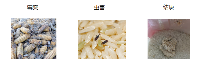 从经验判断到数据驱动：微波水分仪推动储粮管理进入精准时代