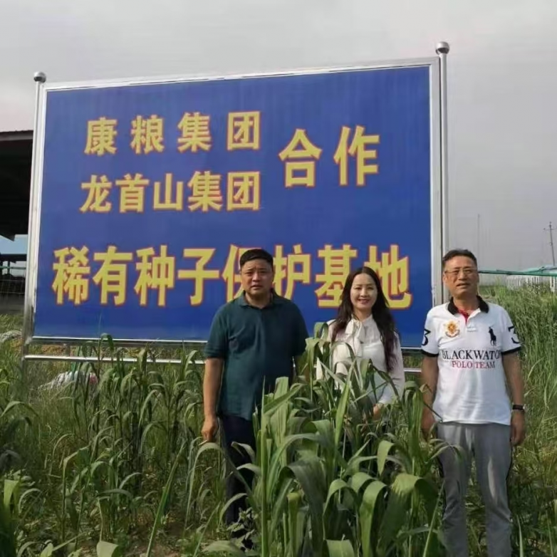 康粮集团：让中国人吃上放心国粮