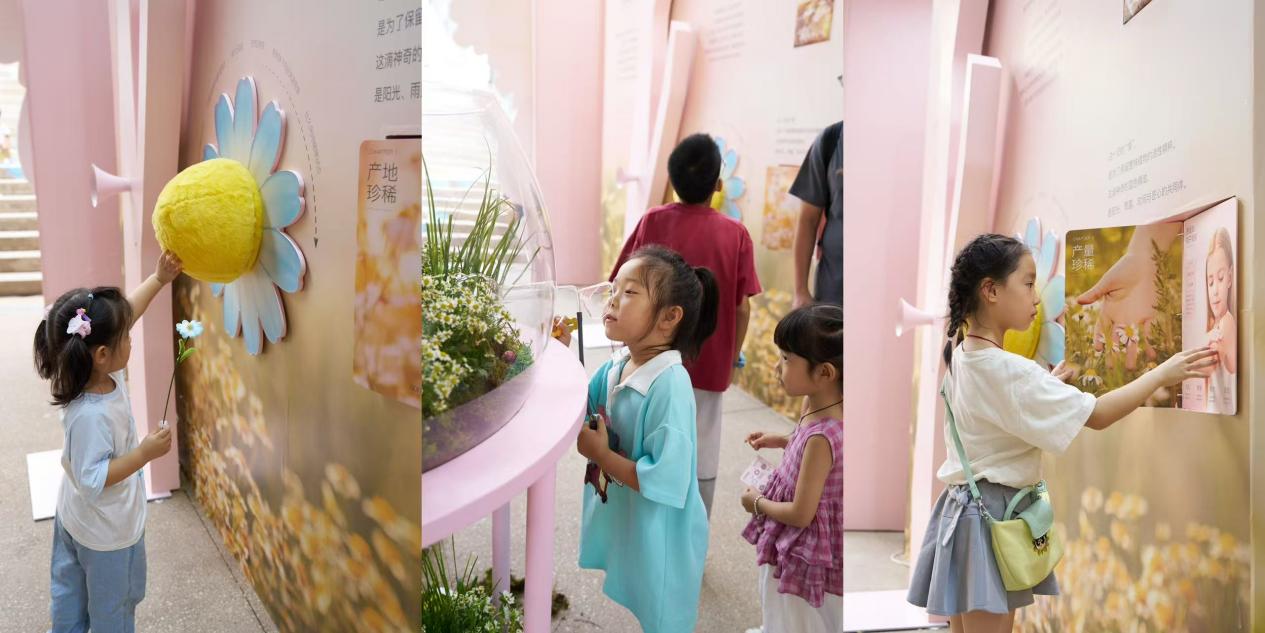 d9da0b093b631861621e7f9de92b987e