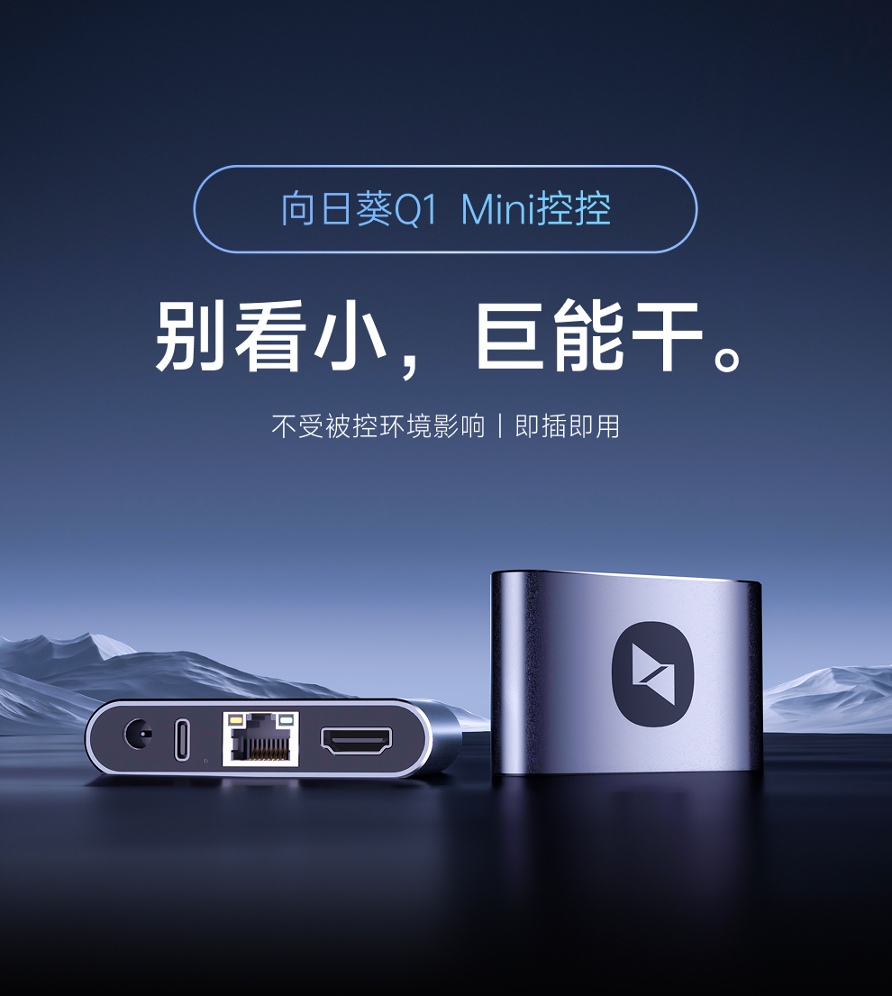 轻松远控你的向日葵Q1：域名访问教你即开即连