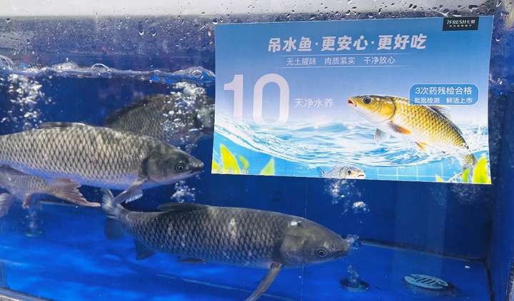 健身达人吃“健身鱼”！来京东七鲜解锁这款“吊水鱼”