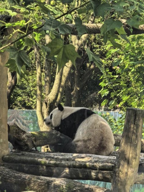 “礼迎园博·强城有我”寻美瓯海研学活动圆满完成