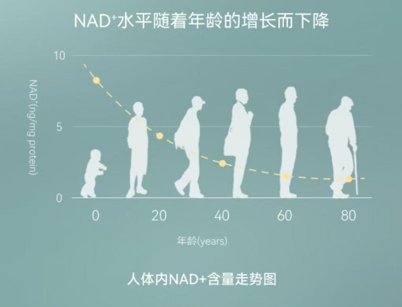 HVE赫曼因 NMN成抗衰主流，中老年与职场精英热捧，引领国际健康新方向！