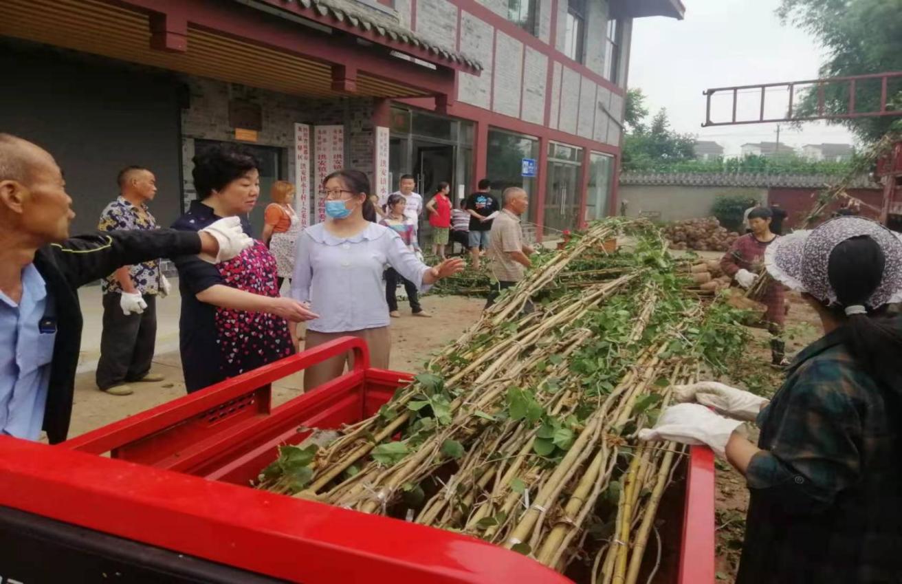 成都龙泉驿区：干部“沉”下去 乡村“兴”起来