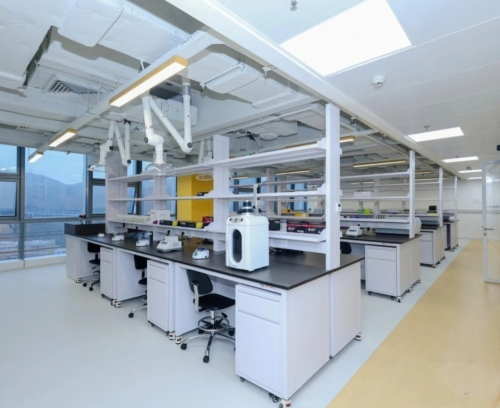 教育科研领域新突破：后保研以四大升级与三大体系重塑论文辅导行业标准