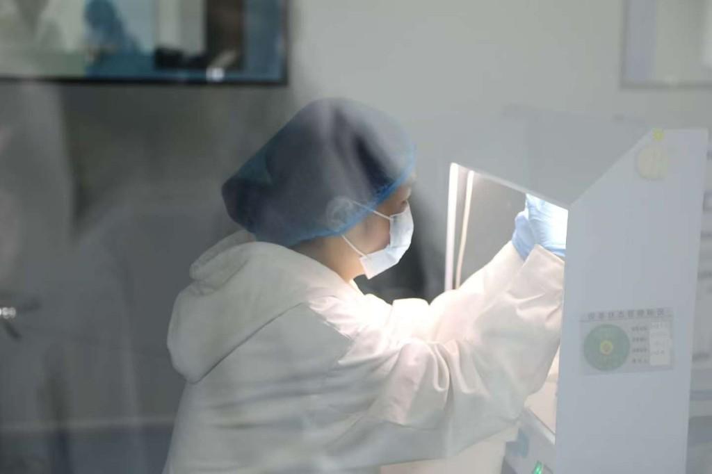 加强载体创新，提升医用分子材料可控性