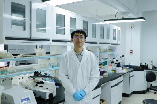 运动起来，给你的大脑“充电”