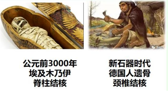 从神秘到治愈：一场跨越千年的胜利