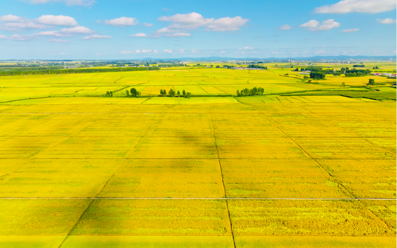 截屏2025-11-04 下午4.29.14.png