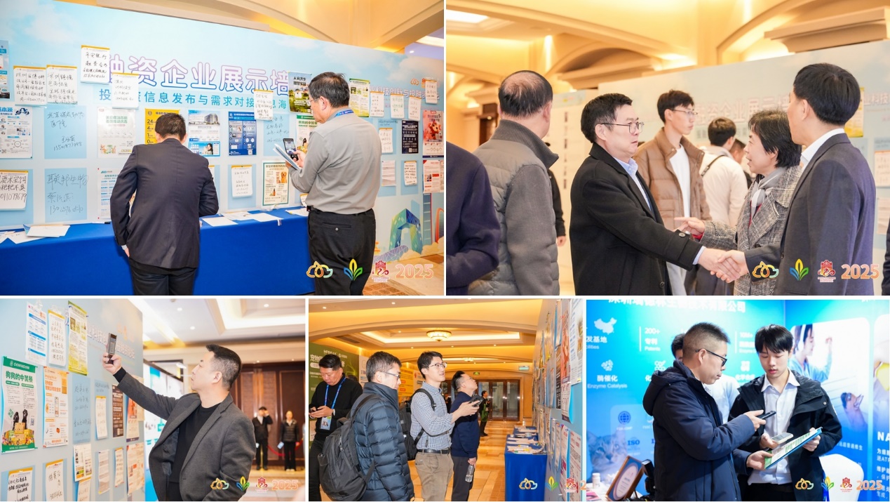 如图片无法显示，请刷新页面