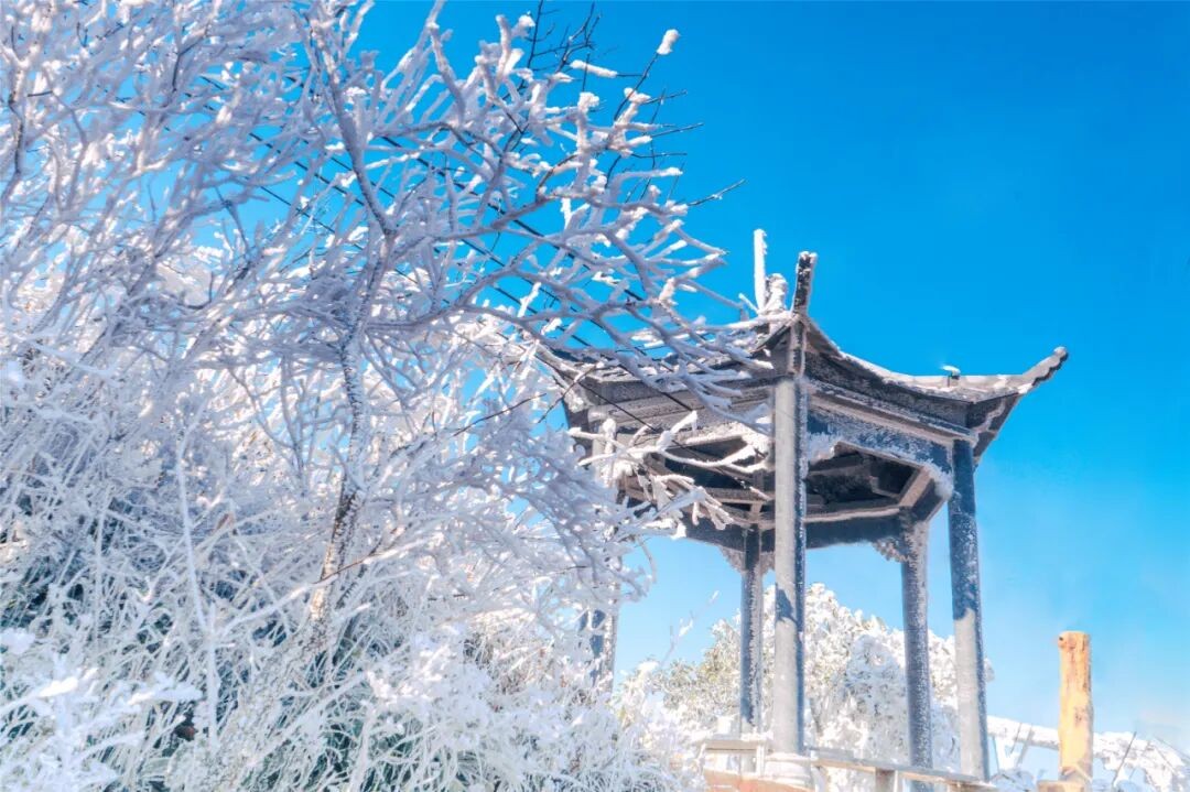 45.jpg