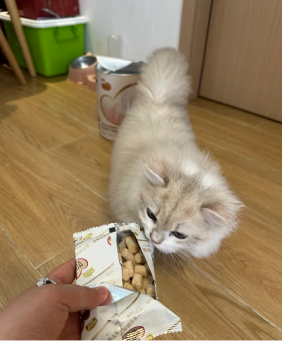 云图片