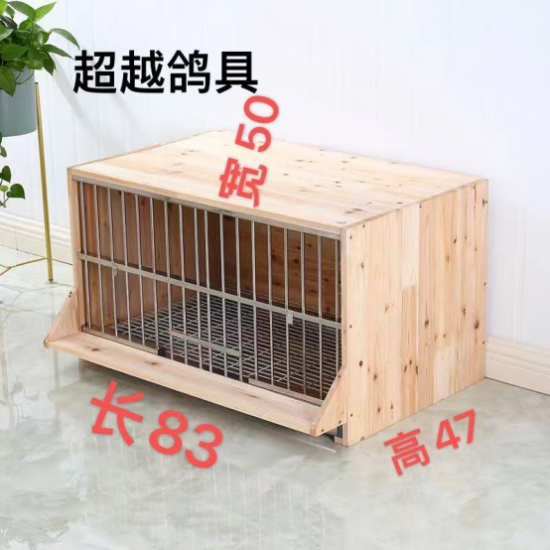 超越鸽具:用专业鸽具助力每一次振翅高飞