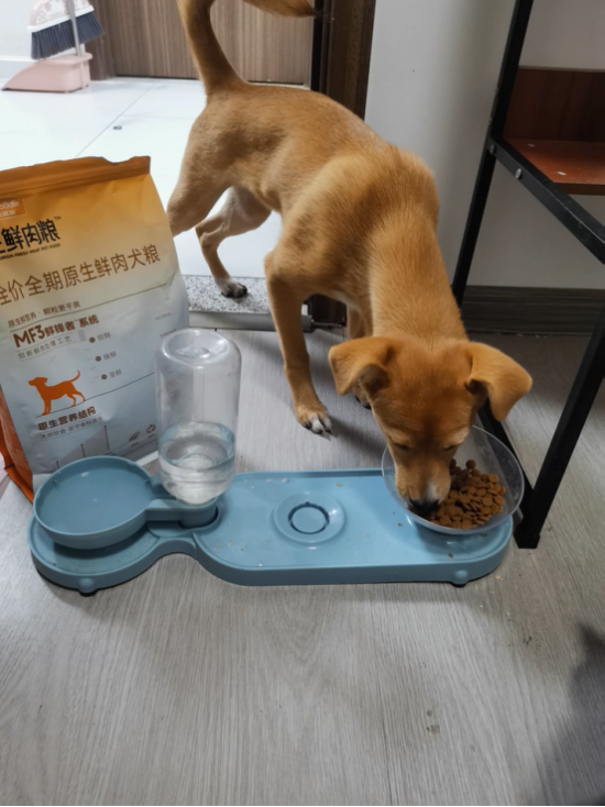云图片