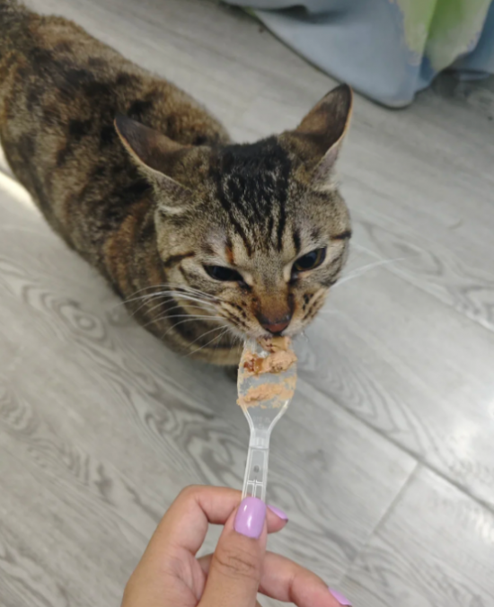 云图片