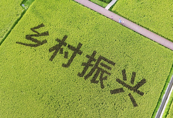 图片32.png