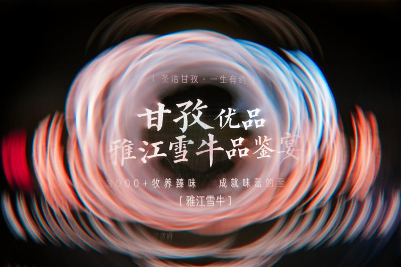 “圣洁甘孜·一生有约”|以特色畜牧培育产业新高地 雅江雪牛“跑出”高质量发展加速度