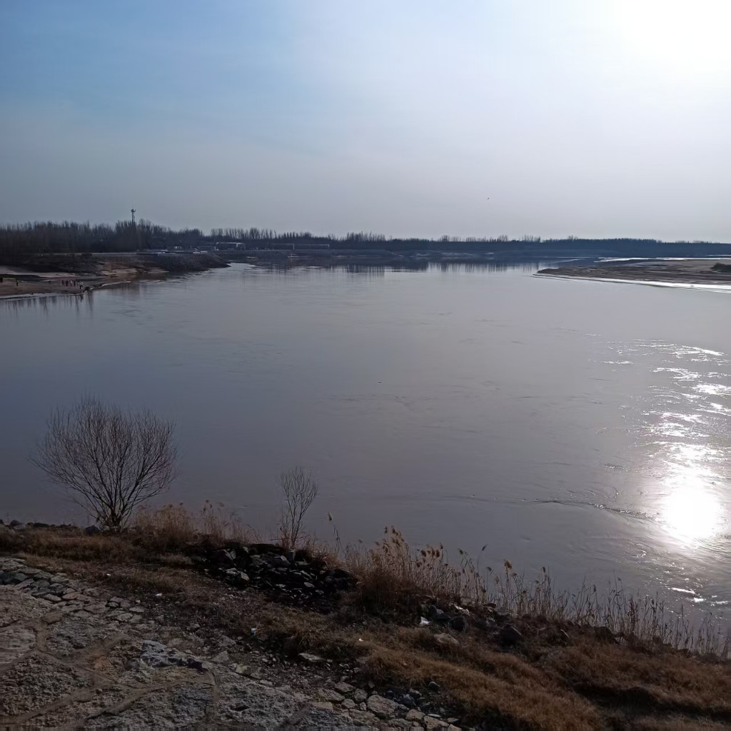 曲师大学子调研黄河济阳段 以笔墨绘就黄河生态文化新篇