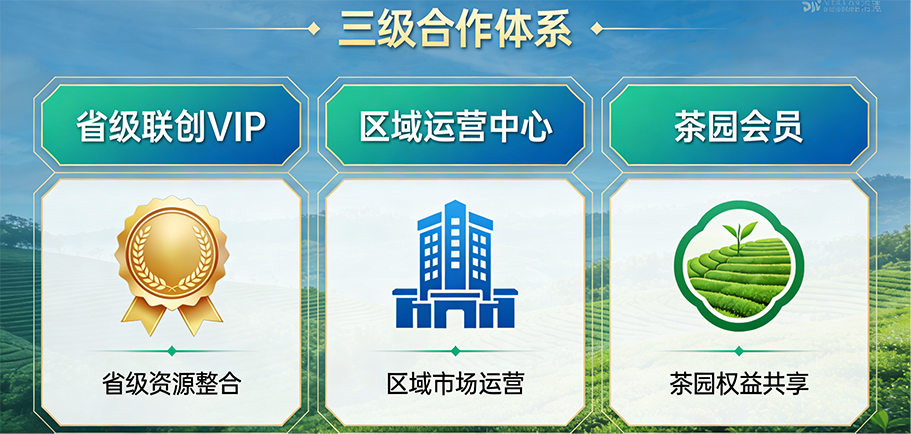 图片21.png