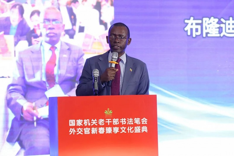 刘爽出席外交官新春臻享文化盛典 共促非遗国际传播