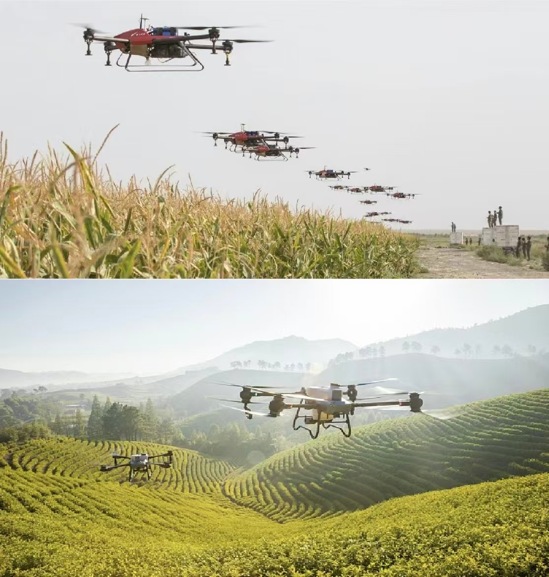 3226f566e2e5cea26e80f2cd9fdfe3a