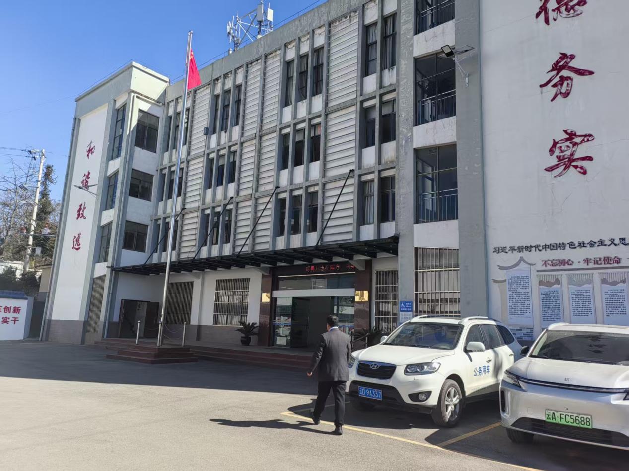 青春身影闪耀乡人代会服务一线——返家乡实践纪实（一）