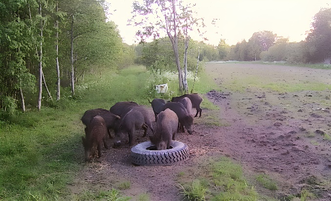如图片无法显示，请刷新页面