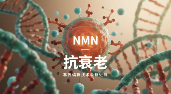 不是你的护肤品不够贵,是抗衰的逻辑从一开始就错了,小石丸极芝NMN重塑女性细胞抗衰新认知