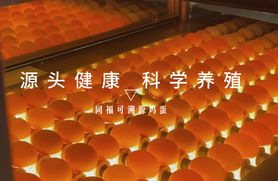 同福双网融合打通消费品产供销全链路