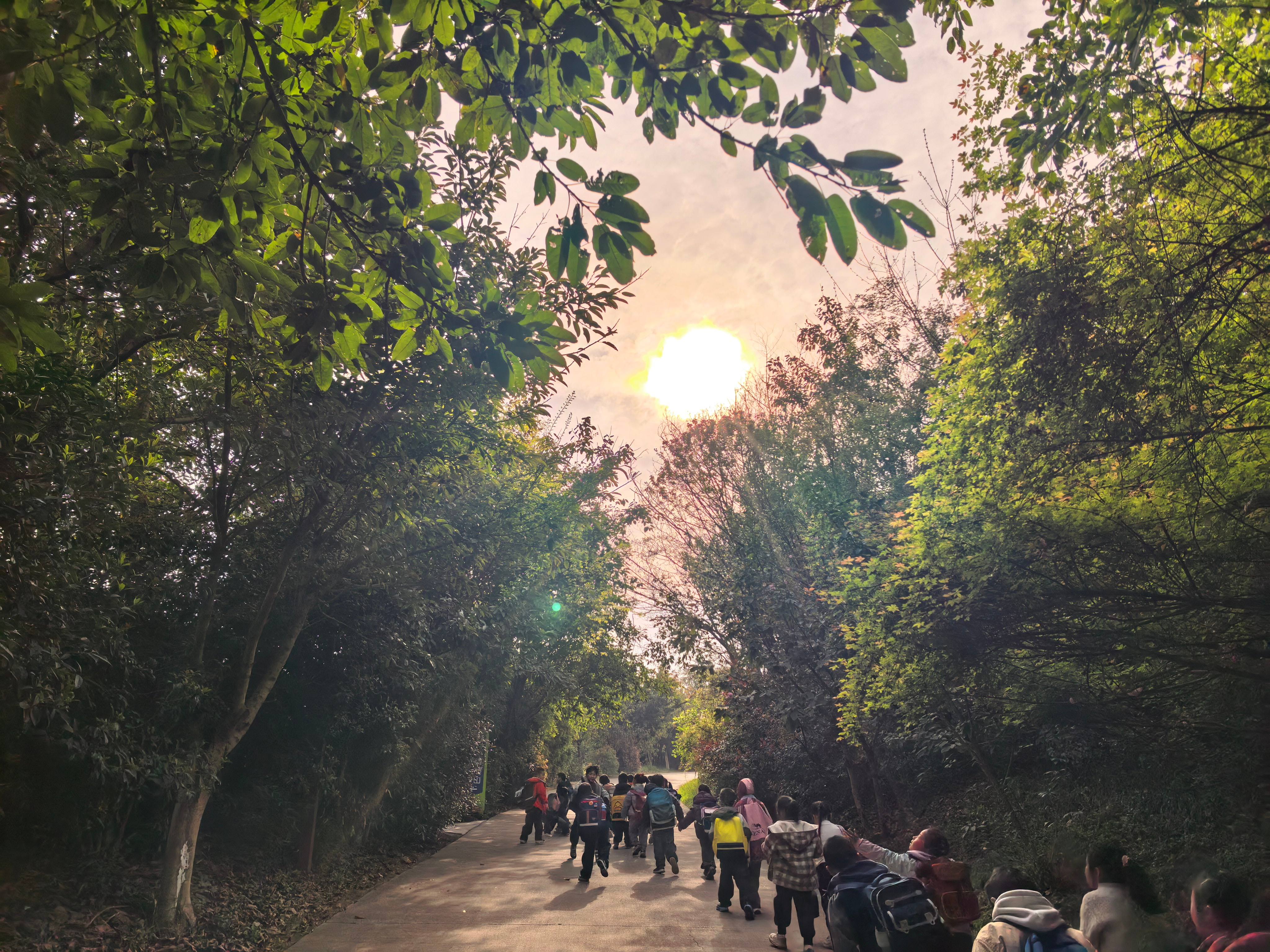 天台路小学校开展“自然生态・春日探索”主题研学活动,践行“党建带队建”促学生知行合一