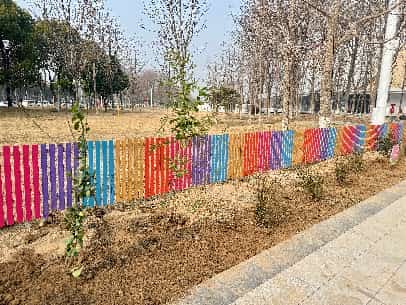 如图片无法显示，请耐心等待