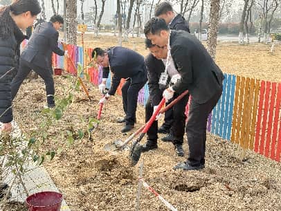 如图片无法显示，请耐心等待