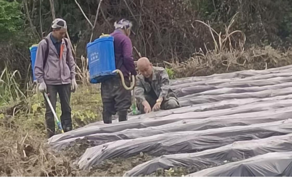 6d53431b42dcb5bdd4a91526d2e5d429ebf85e158510bb8d5f9317946a41ae4e