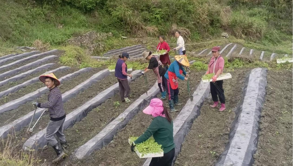 898a0f69bf16dd1e5d3d222a70daf706225b689721fe2cf091912011143a6893