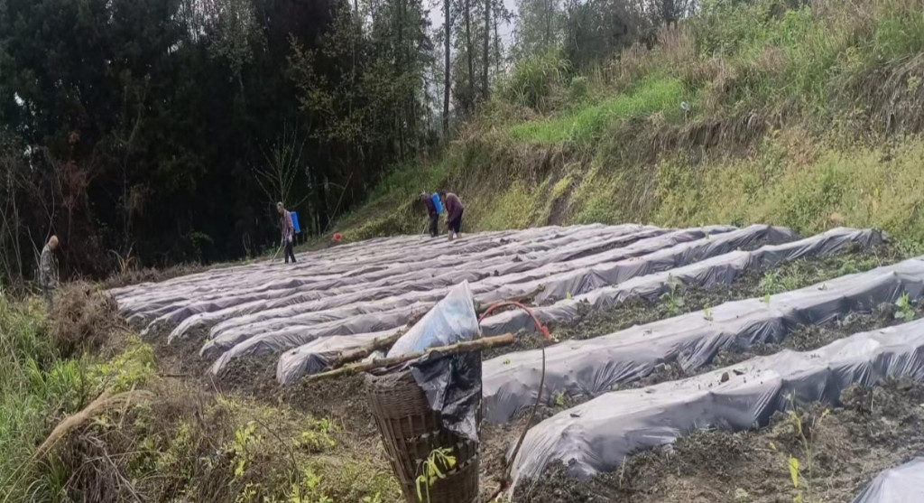 5c0720fc54f8d6cb1d093495319fdaddd3dc5397fd826c9d75ead0ad8042d82a