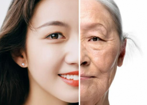 越睡越累？美日联研KNC派奥泰PAiOTIDE如何从基因层面为“走向衰老”的身体重新充电？