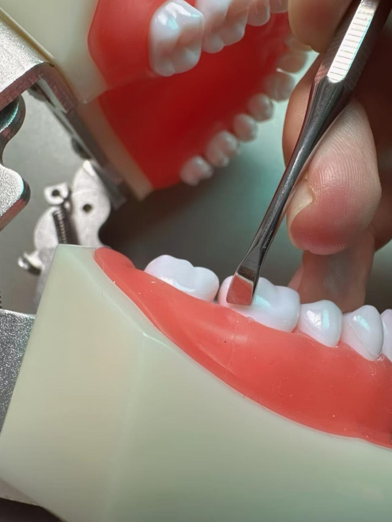 3ad8f04292106891758710a3da68caa7