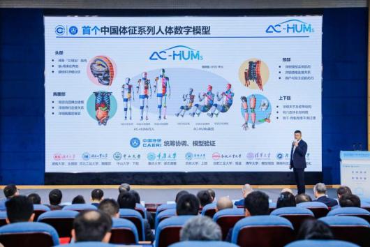 人体数字模型