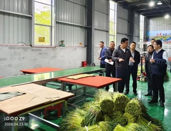 ���ݽ�ͨ�������ϵ��о�����ͨũ�������빫���������һ���