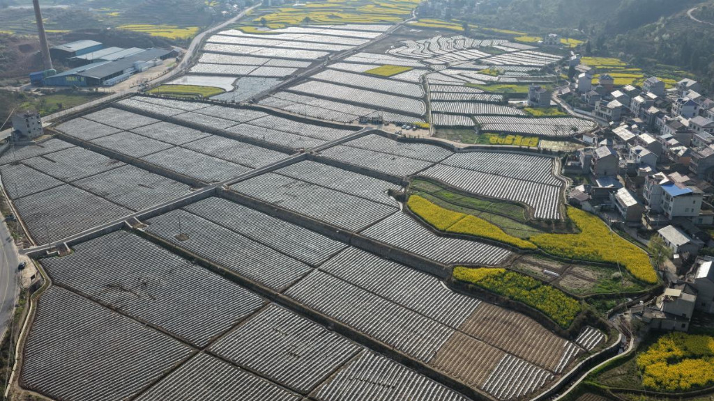 3cb8cfd5f03222b0d2cd2590c50d8c8064363477484aeb6d2977e027b8f42305