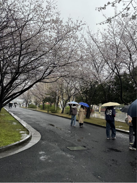 3d977fc66613355045df33deb20dc419e2250f1972616c627868d917b7c1d63b