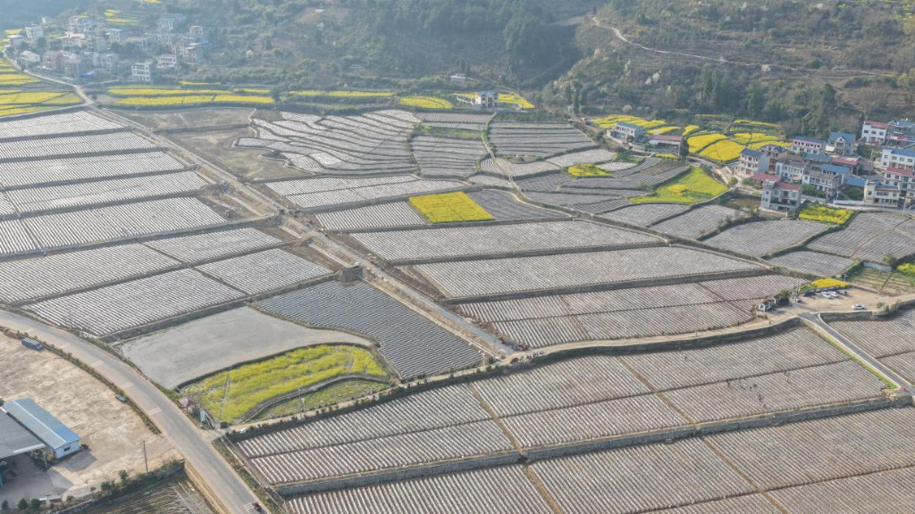 44e107d9ed9965fa78123b527b87a1176ec923579aa33a2dc65b8e5b66416d29