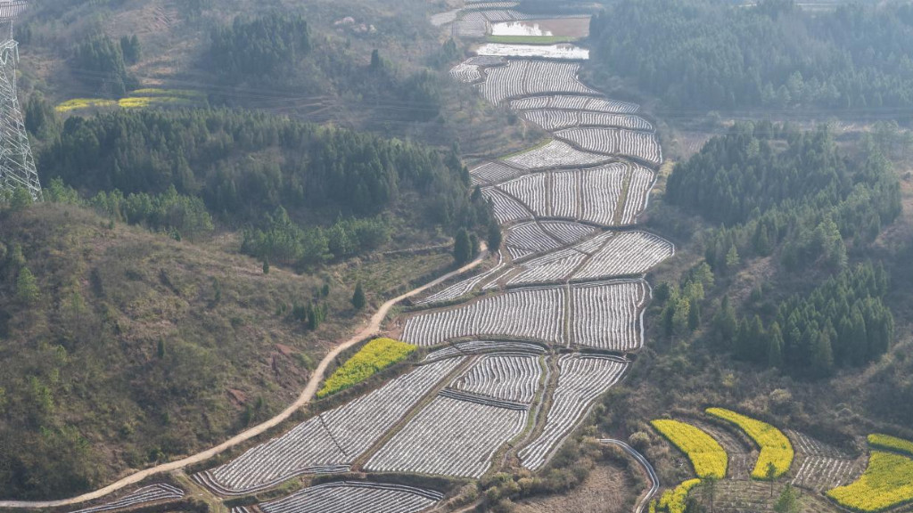 55a6e8eedebda2102cc0c4cd04e076d3816674fc75b1a1630863f91913ed9ed5