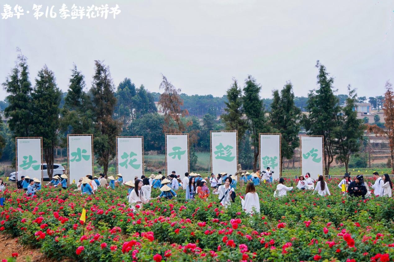 3T9A3220-4520256129