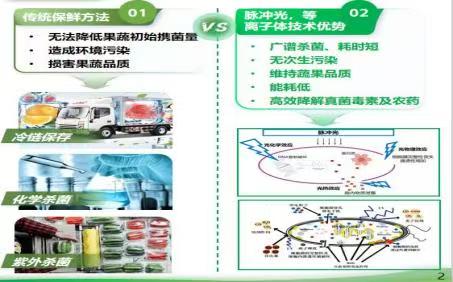 “鲜”行一步：这群大学生用“纯物理”科技，让恩施好果走出大山