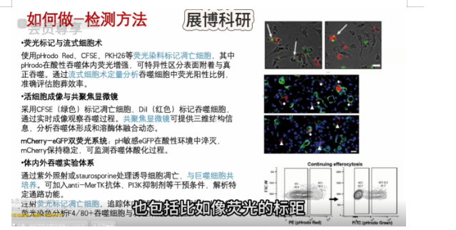 https://techchina.nancai.net/2026/0524/93218f521f170b7.png