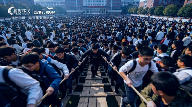 6月高考规划热潮，鑫海移民一站式解锁多国升学优选方案