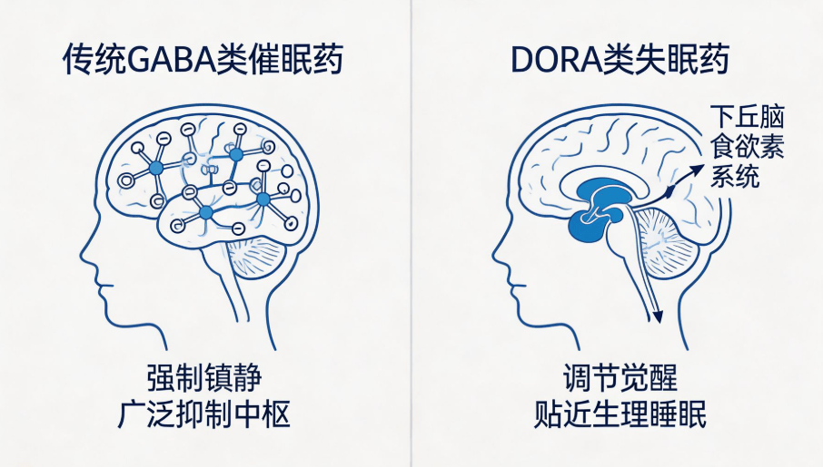 雷生类失眠药物为何未被列入管制药品？机制差异与安全性解读