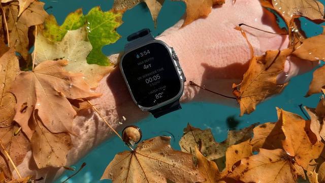 Apple Watch、Meta眼镜和 AirPods获欧盟可更换电池法规豁免